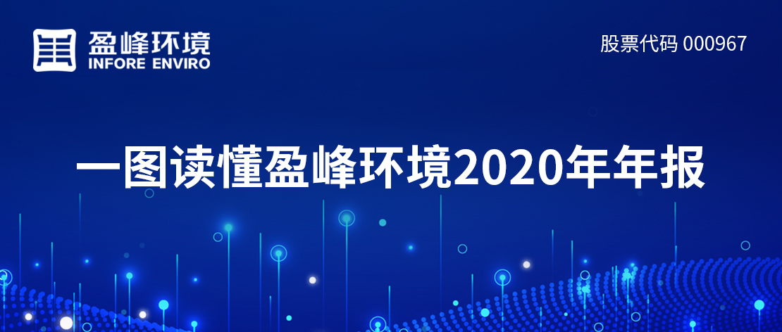 一图读懂V66.COM环境2020年年报